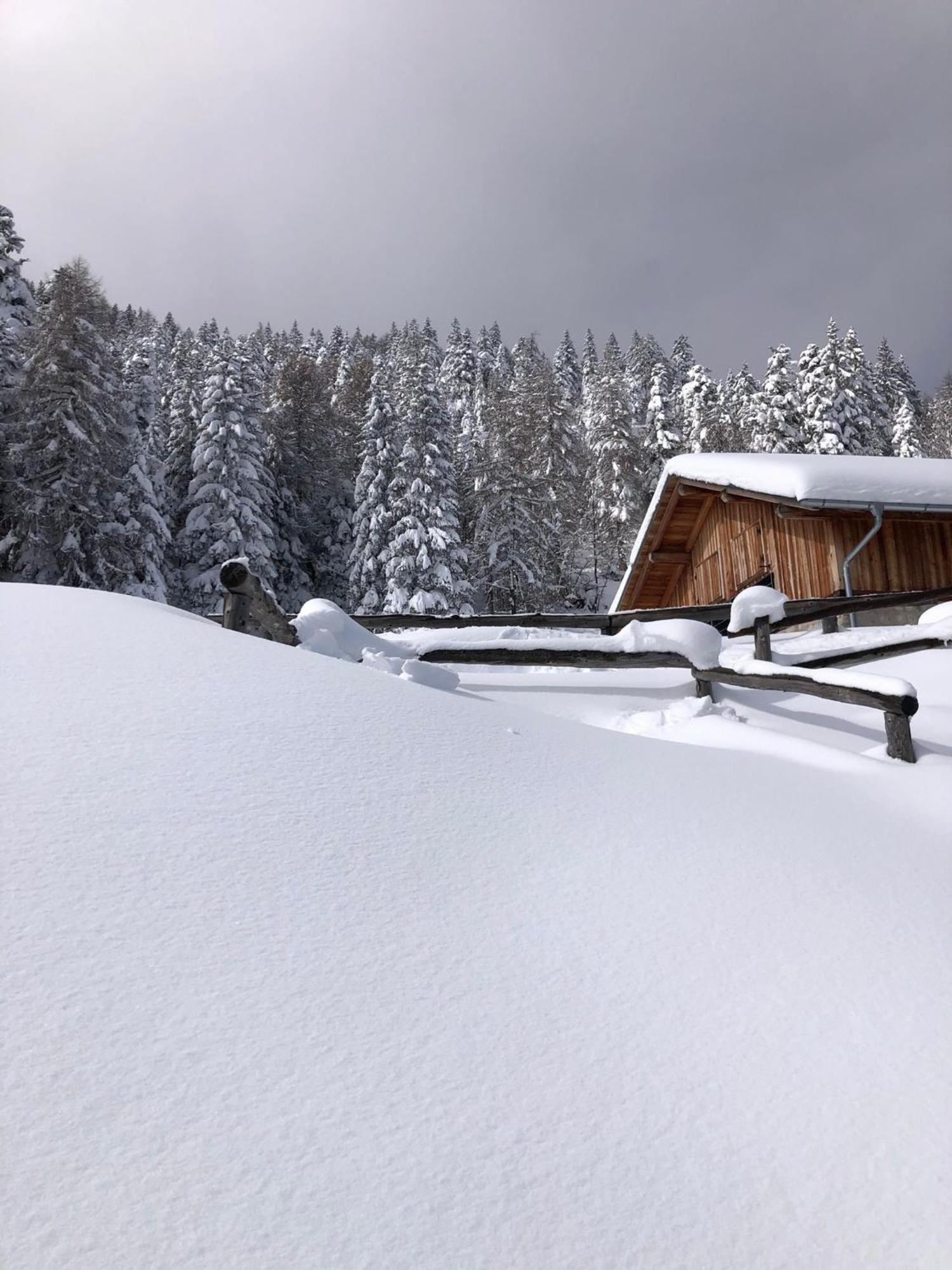 Brenta Luxury Chalet Sporminore Exterior photo